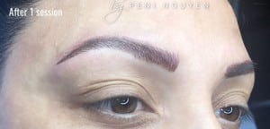 Microblading Case 9006 After Photo Microblading